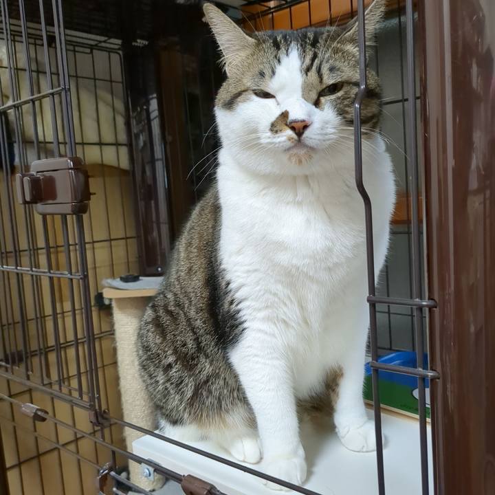 94321a68 dbf2 473a 9e89 b5b9fcf57e79 1697374332292