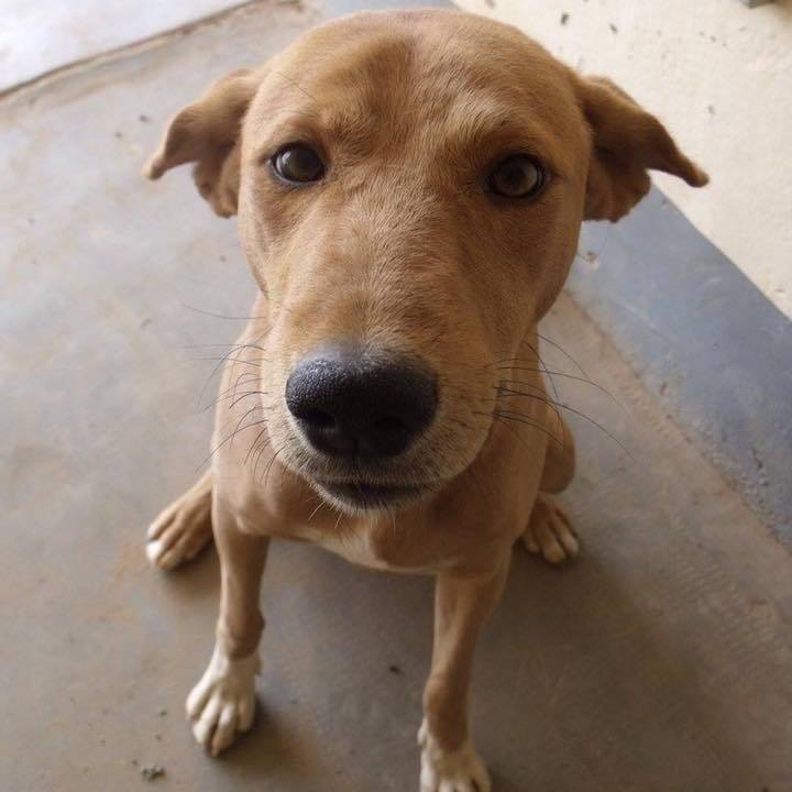 94321c2f a131 4cb7 bf10 a698191892ab 1541493953728