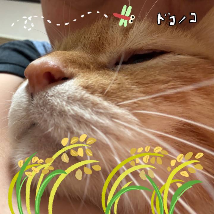 94322016 df7c 4657 badf 92a93ac3414e 1761213702950