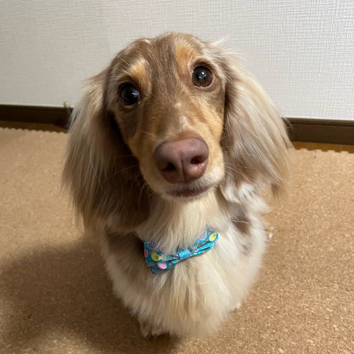 94325e8d 285f 4ec7 86f5 54e140eb2785 1772102163837