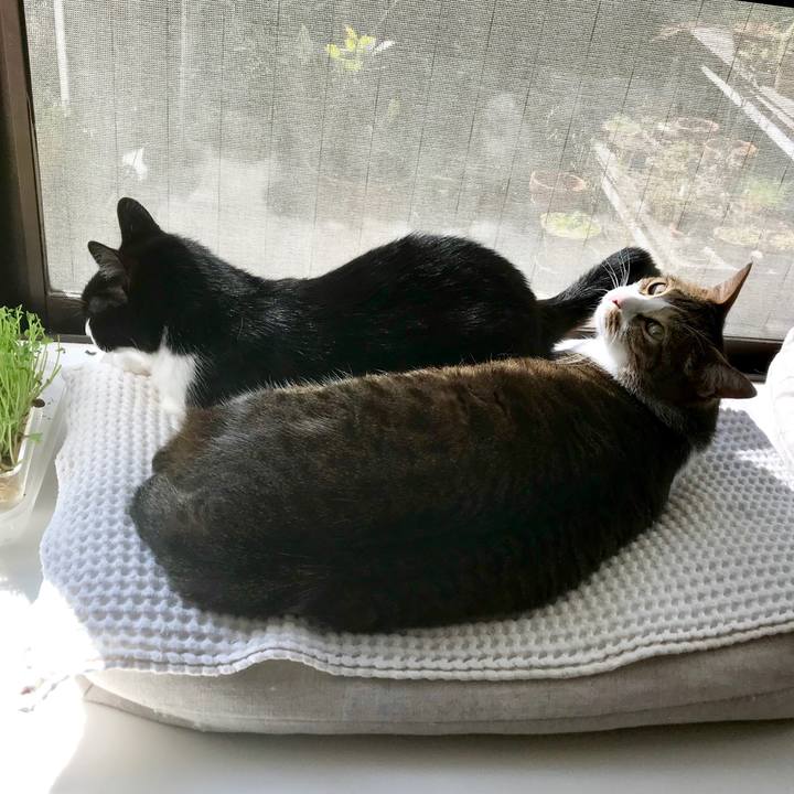 9432802f 12dd 4f49 84bb 6bec1be75663 1522126791848