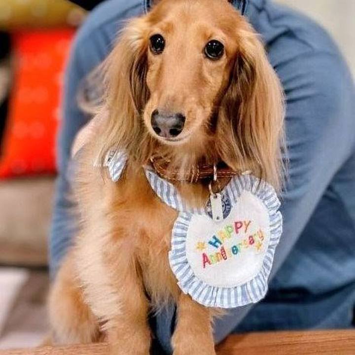 943298a7 e9bf 4669 a9a4 f8fcae946514 1772630026016