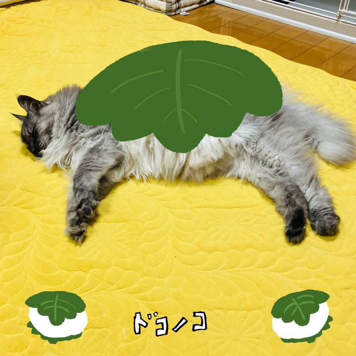 9432c835 fe9b 4640 ac00 de8e8f6ff21a 1749093449649