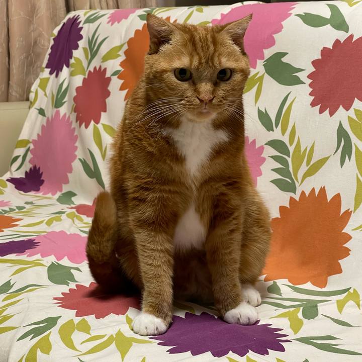 9432d24a a69b 40cb 9723 5250d23697c7 1671974397785