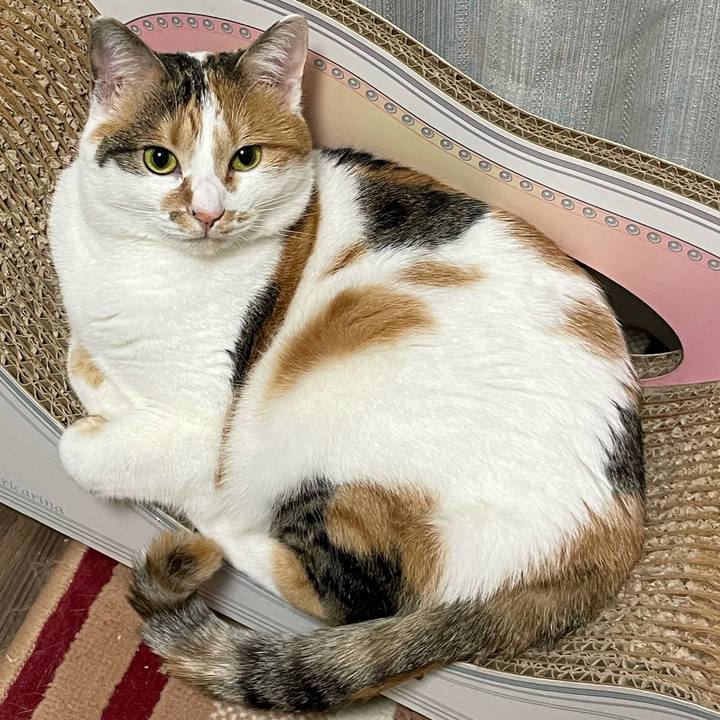 9432f04f 4368 4cc3 88c9 2f21a3fba3ae 1610796297382