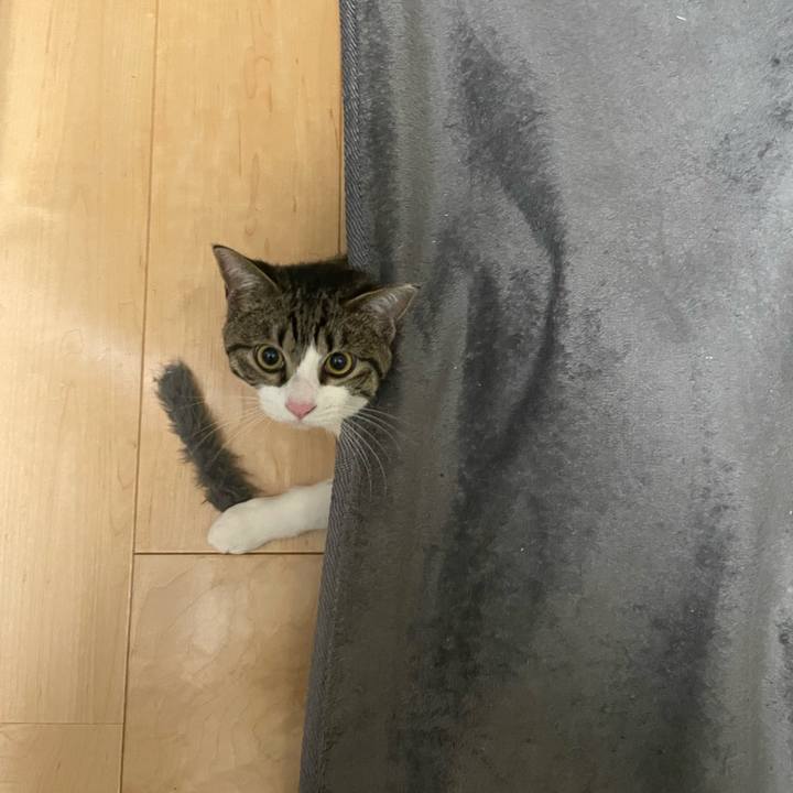 9433005d 6e9a 4ef0 a78f 42ae212cc721 1736024846836