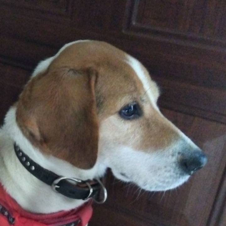 9433018c c0a6 4315 8620 a14be14d72f2 1706434369359