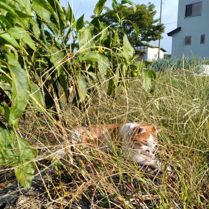 94334264 2732 4f66 aed0 d7730f0afc44 1759479684595