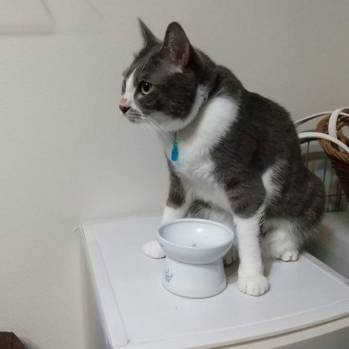 943354c8 d1a2 4050 ba96 648d47e913ab 1635804453848