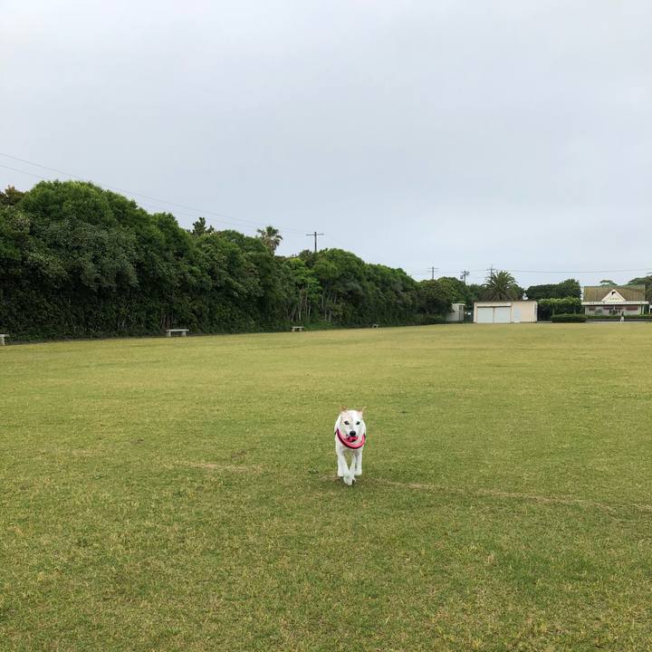 94335ef7 35d4 4506 9d0f 759454121b79 1526216686857