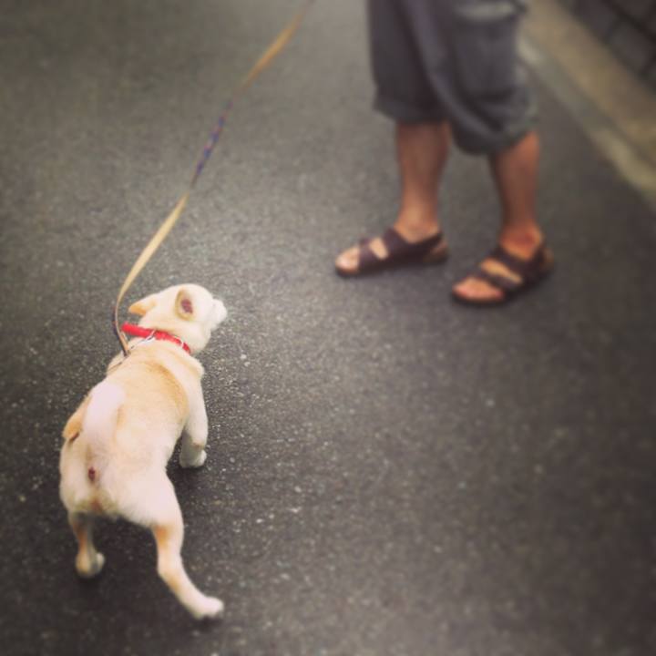 94336c6f b69b 4a9e b615 f839a27992b6 1522121032000