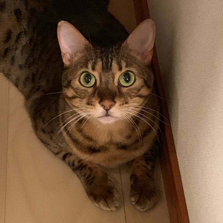 943395a6 e52e 4a03 8153 f4e5d09400af 1568072756950