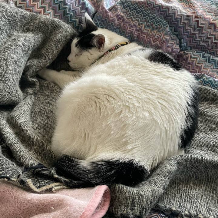 9433bfce 4cc3 4e94 a4ee 2ba8578a71b8 1644971503534