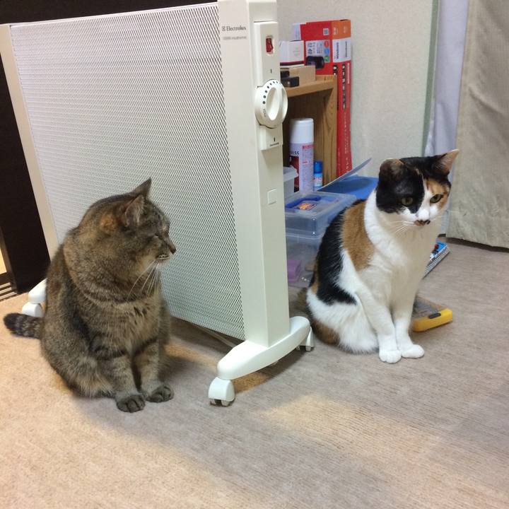 9433dc5c 595f 4217 90bf 3d09de2cca3e 1556895872474