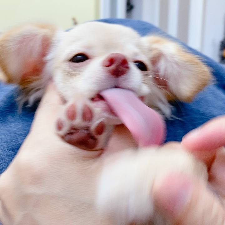 9433e1dd f044 424f 8d43 f693ca411dbf 1596690835304