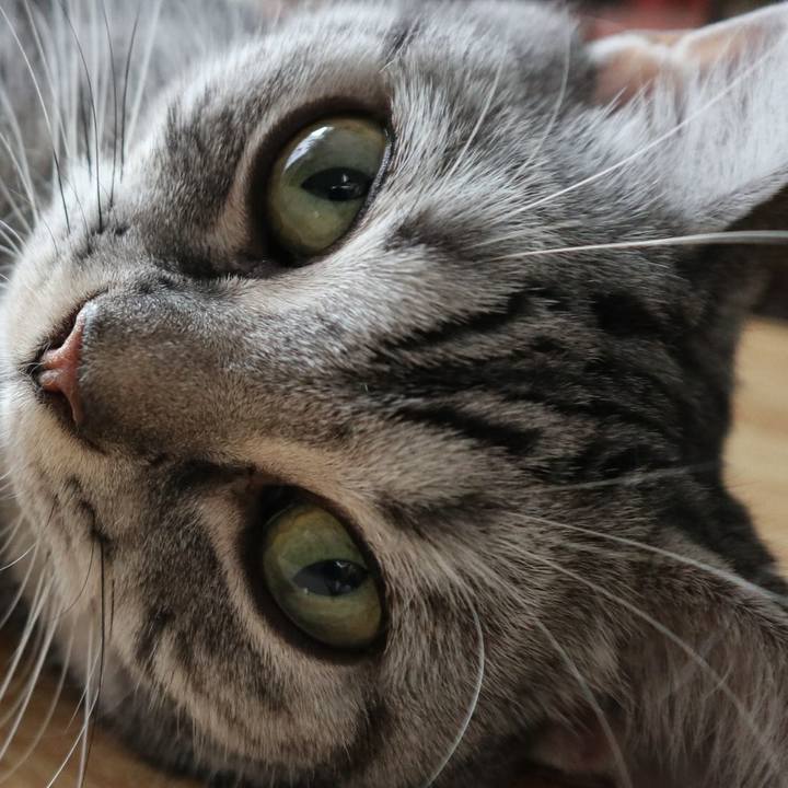 9433e709 3adc 4602 91fa a6e939f5ccbf 1600598089505