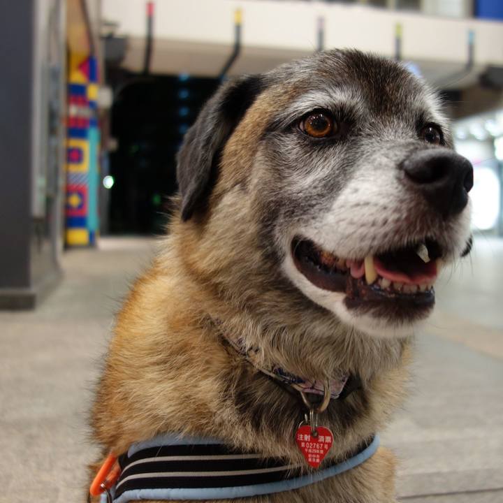 94341ba4 7c58 449a 94a5 b6e3d7978883 1615077767124