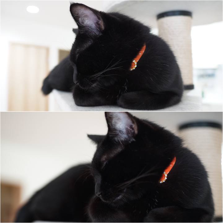 94341ca7 ef42 4311 8b8f 583ae29d736e 1536728156247