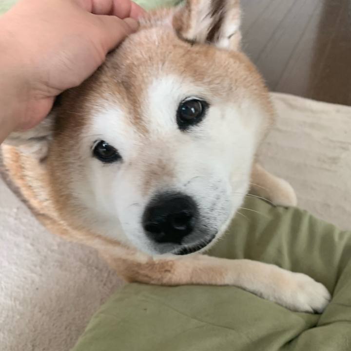 94342112 1813 4f75 bdb1 336e8860341b 1592707085136