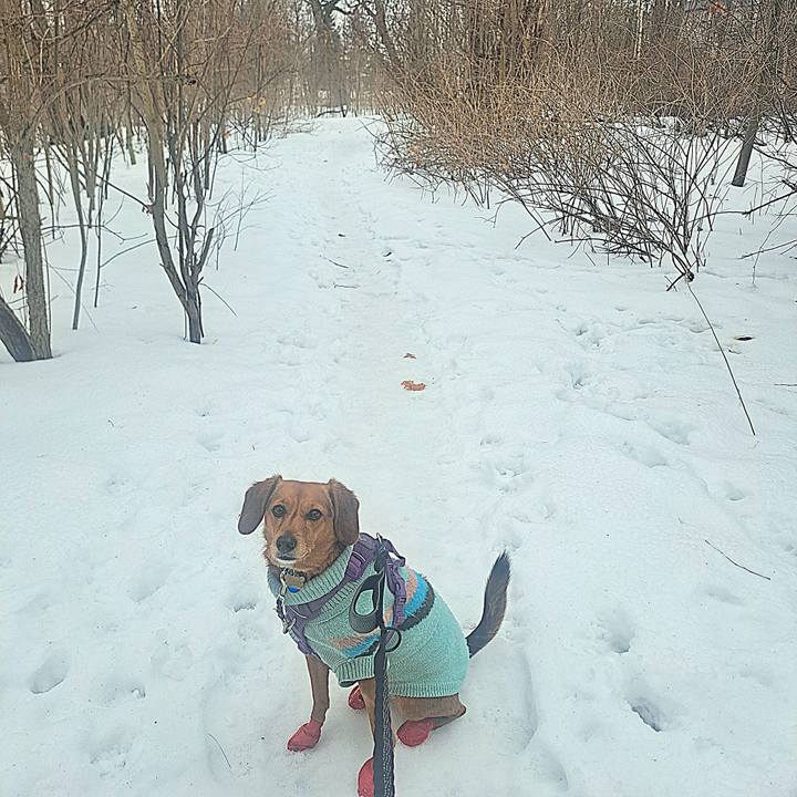 9434228e 2b02 410c b013 9dd0f67b0cfa 1771722632900