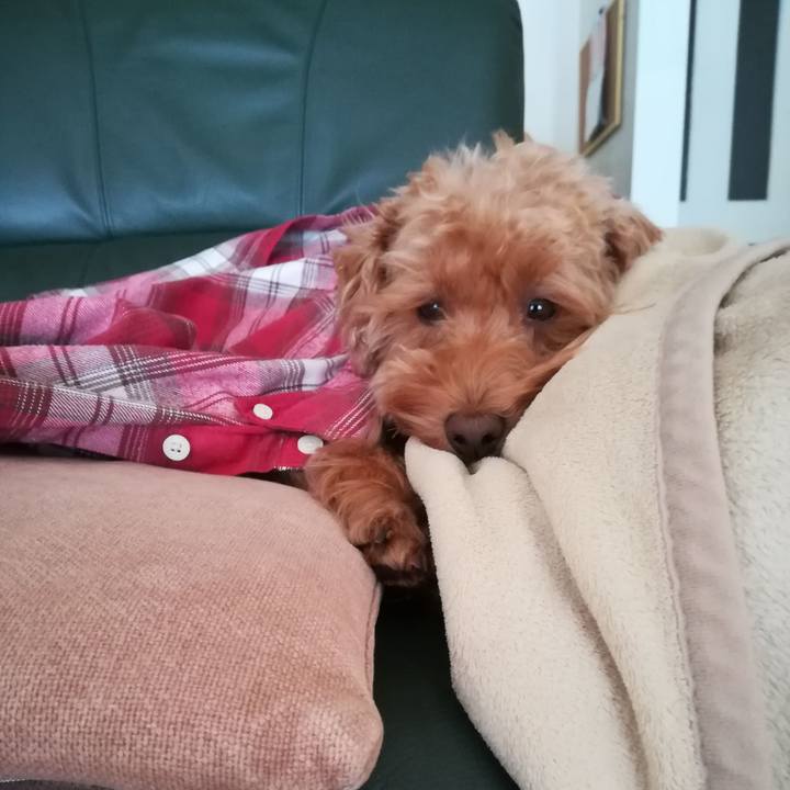 94348e01 6e65 4ac0 87da 50e7d75ecc09 1543633237107