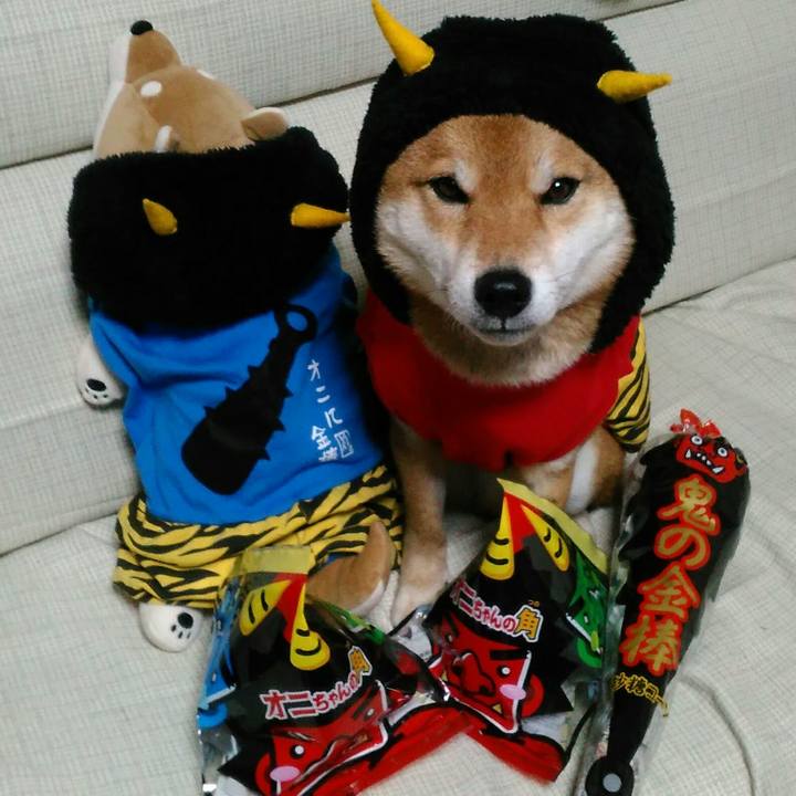 9434d8c5 b209 4e16 9985 4f7e6948513c 1517480449479