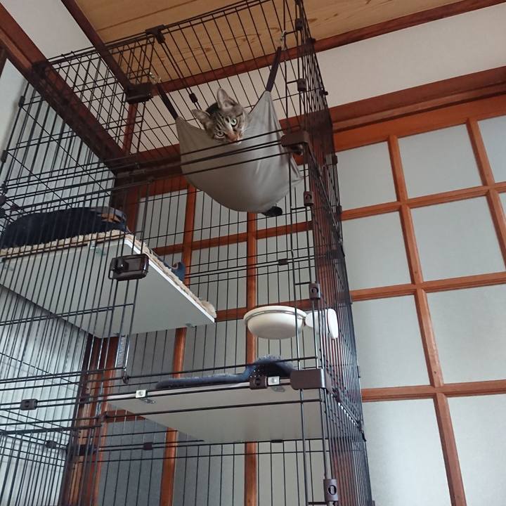 9434e0f0 c188 40f6 a2b3 1998319b3768 1556934131557