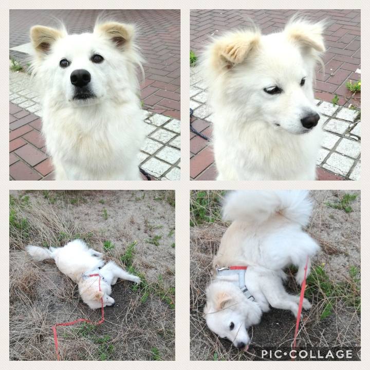 9435050e d4b2 489c 9889 8d9a33102309 1529388601339