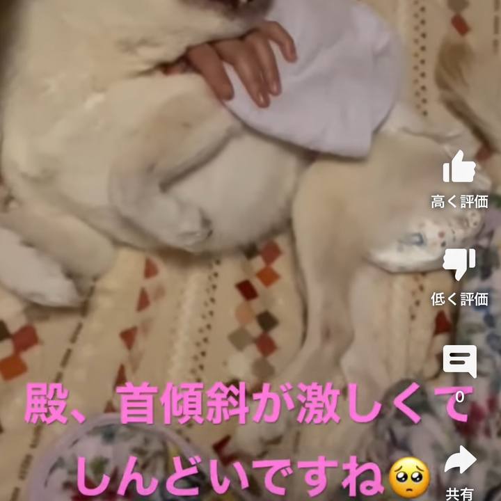 94352635 3f9b 48ad 81fc 4f31eff98a5a 1673546489522