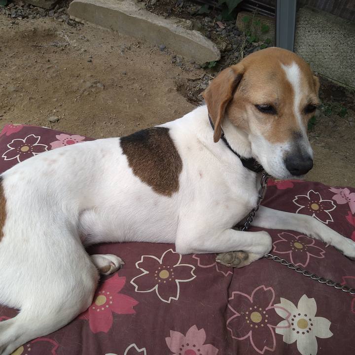 94352769 5c65 483f ab28 1baa5dee0251 1652168461997