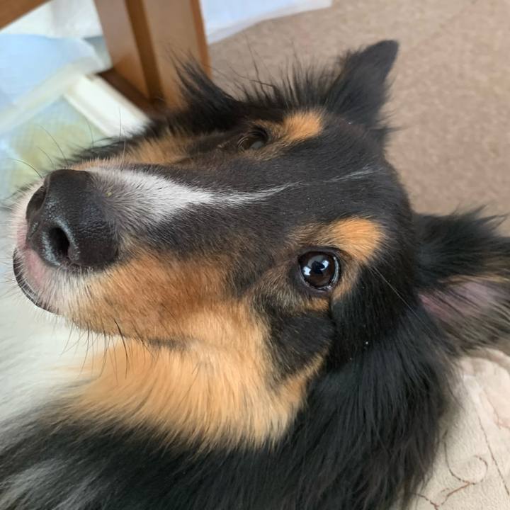 94353812 cf71 4a32 be15 1dbd25cee19f 1588889121554