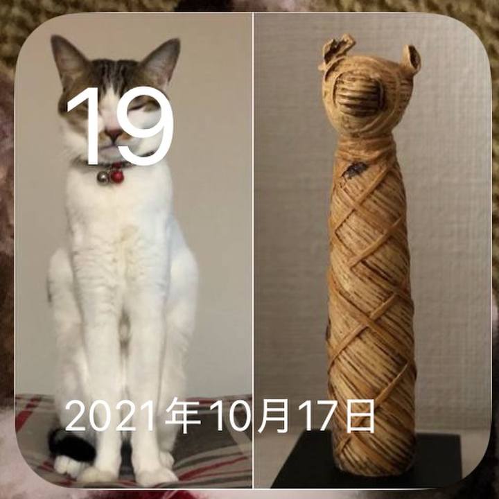 943569fe 50bf 4860 8bdd 33f698a1e309 1760824911105