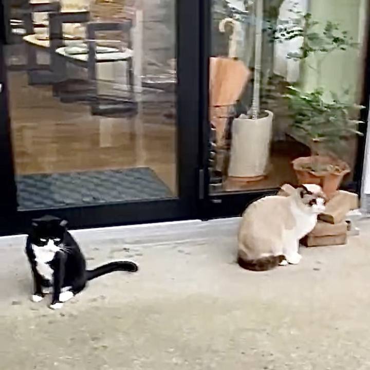 943579fa aa82 4c64 ab2f 549008312ec8 1734206038326