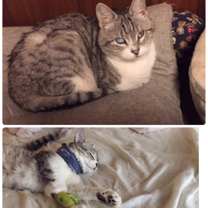 9435e0c2 f86a 4096 aa39 5dbf29f9b86a 1534154030085