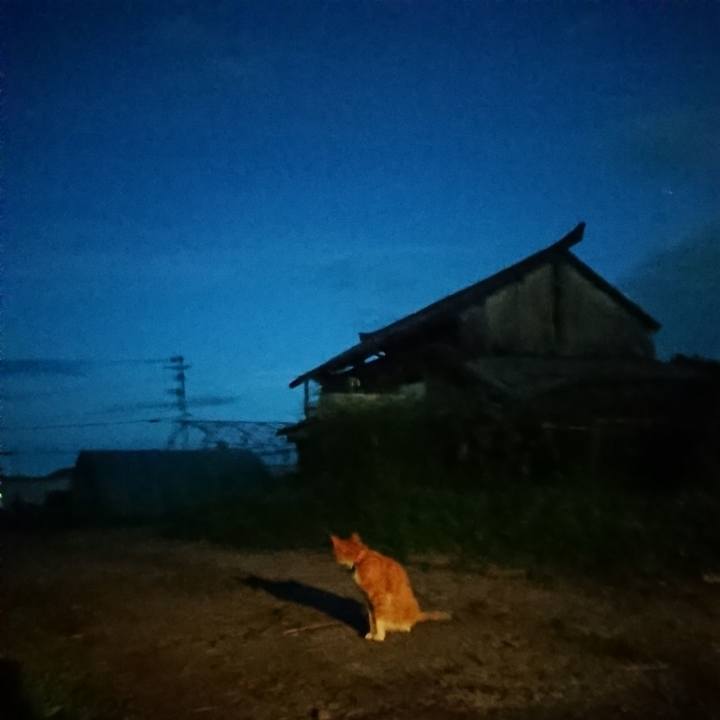 943623fd feff 4faf 832a 078990a62bde 1597400474957