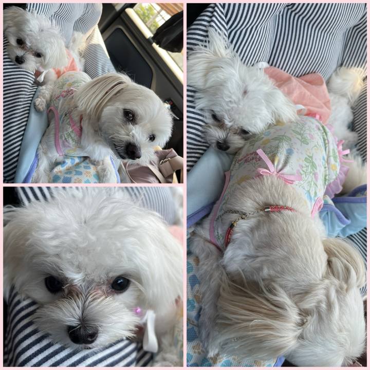 94362c45 0934 45f3 bca7 483e6504f03d 1721874830041