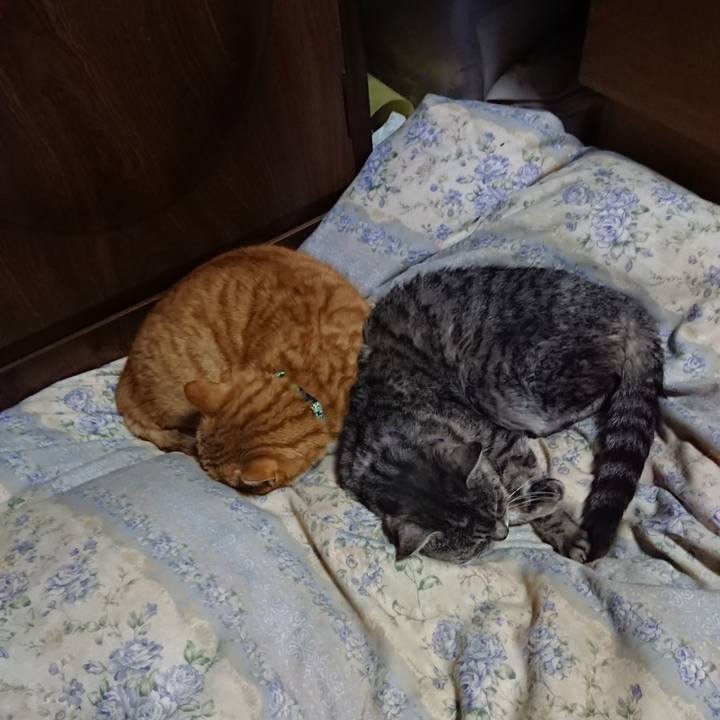 94362ce6 3000 4875 b693 7ab151c6fd6c 1580219747294