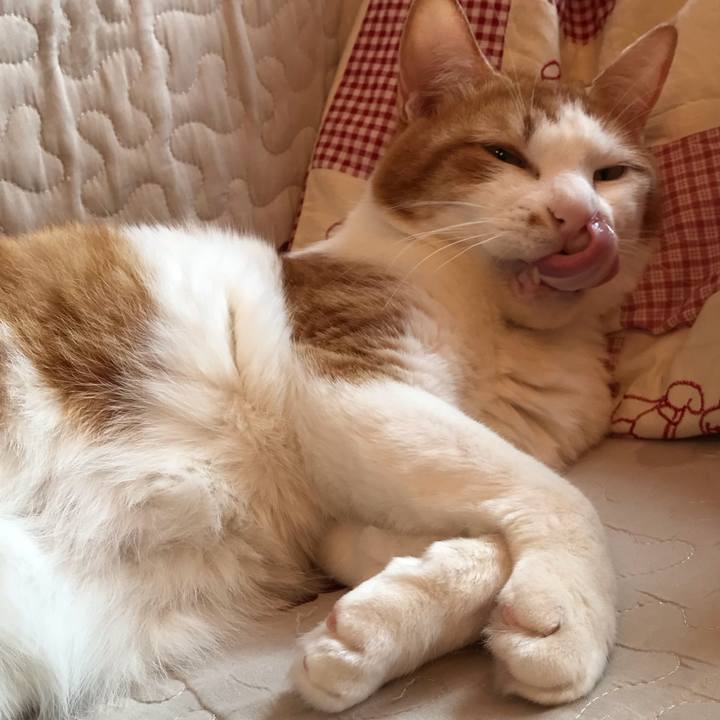 9436319e 7f35 428a 940d 79f0eb5c7af2 1567206573689