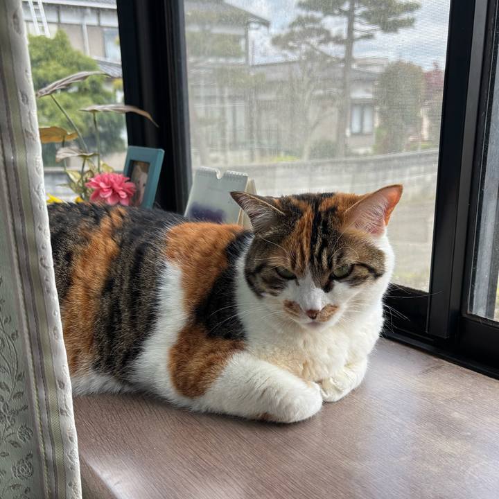 94365bbd 8013 45cf 9245 dd73724b3299 1745898668610