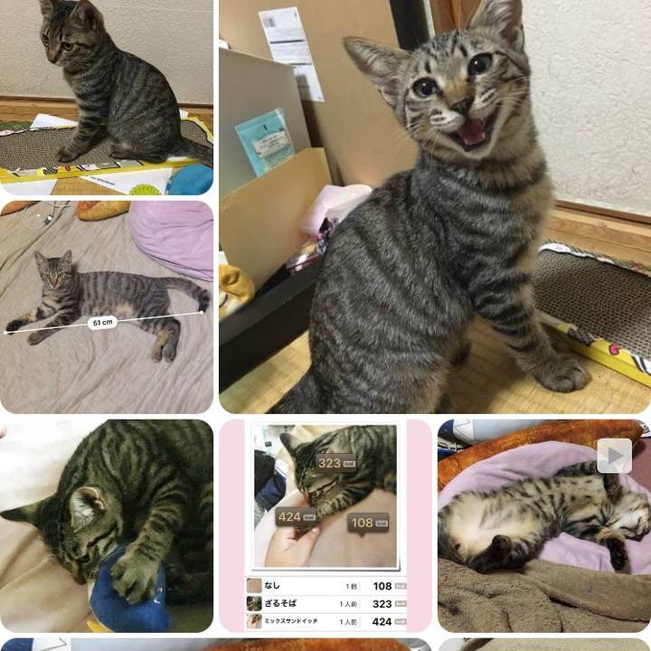 9436b0ec 7072 4267 9a2a 3433d38b8d7c 1555996111544