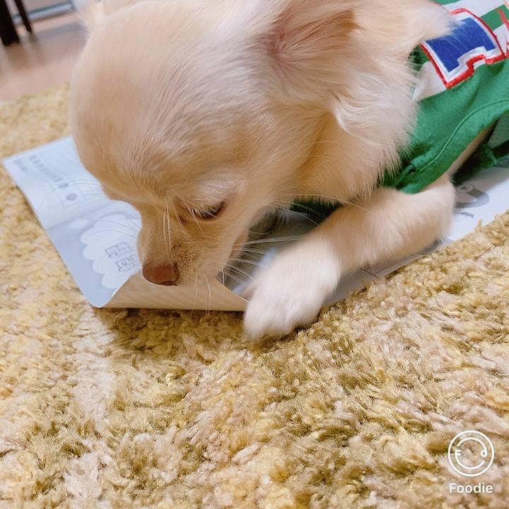 9436cd40 2071 4b67 9700 bcfce265ba7a 1598868737921