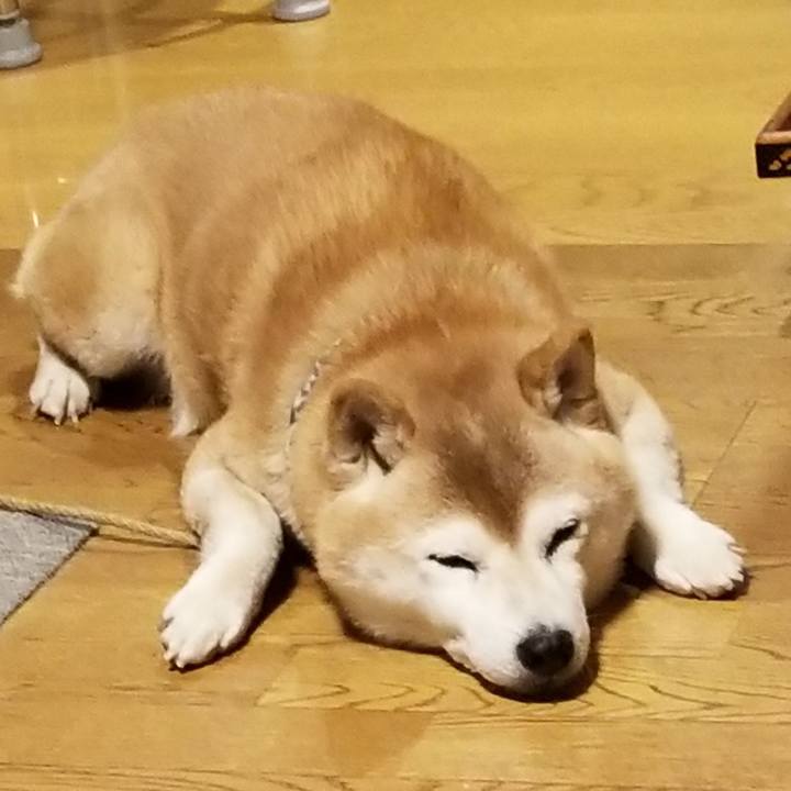 9436fd8b ddf8 4110 9465 7afe4bb83bb9 1705047662999