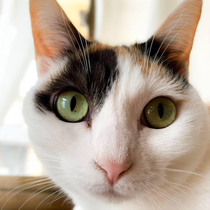 943716b8 8ae0 444f 8c12 6e9a910b3ce6 1586828268672