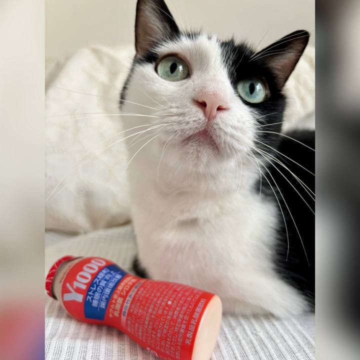 94371998 04f7 4678 9f35 5b7dd2dac215 1725801558988