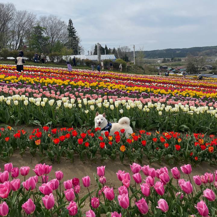 943789a5 51cc 4354 b836 c806248e6009 1682738115240