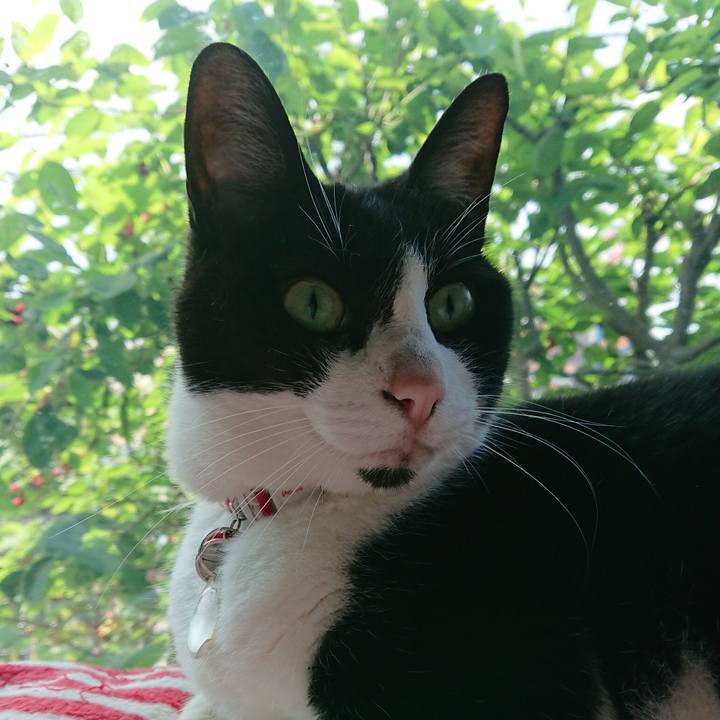 9437a304 e1b6 41c2 b476 ee5cace0406f 1685146748115