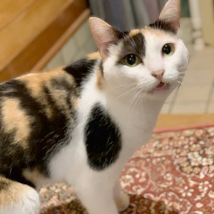 9437d70a 4c5a 431d 8c6a 18b3777d1be9 1539740099695