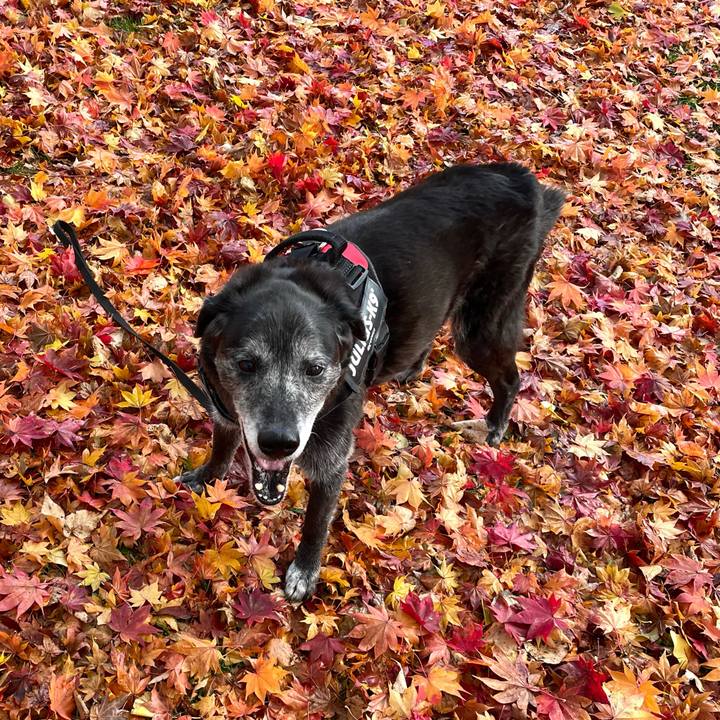 9438144a e05f 4457 91d2 a05decae642a 1762500135089