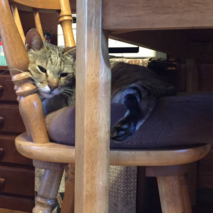 94385768 5423 4f62 a99a 8c90eb8070e1 1554157224951