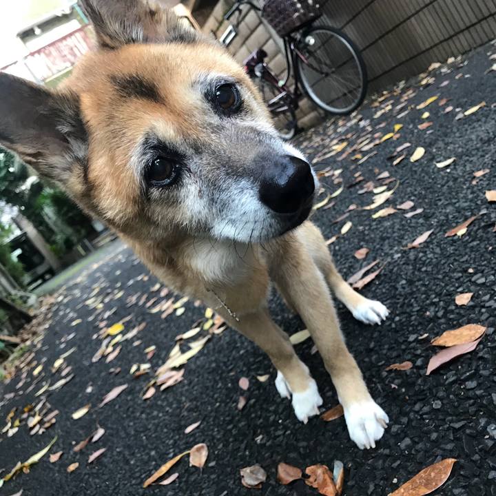 94389d95 9b29 482a a11c 800333e80b30 1540621274944